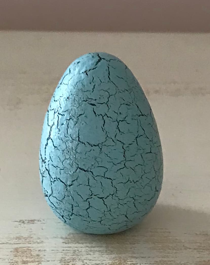 blue pigeon egg